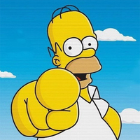 Homer Simpson Você Mesmo